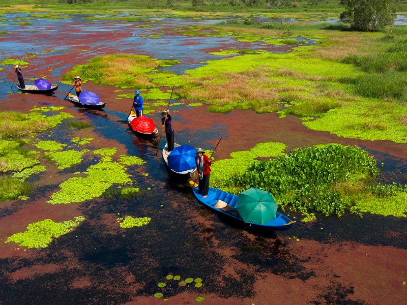 tour du lịch Kiên Giang_ du lịch Lion Trip