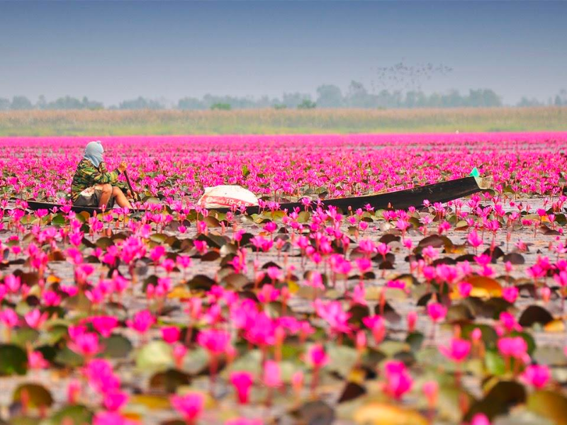 đồng súng_ du lịch Lion Trip