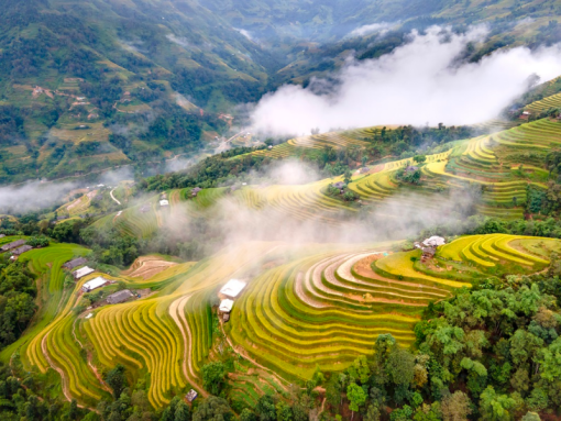 hoàng su phì_ du lịch Lion Trip