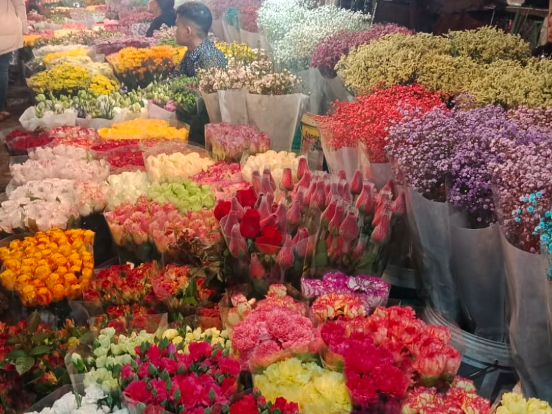 Lion Trip_ du lịch Hà Nội chợ hoa