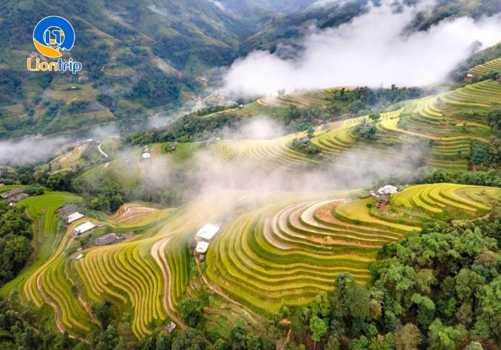 Ngắm mùa lúa chín trên các thửa ruộng bậc thang