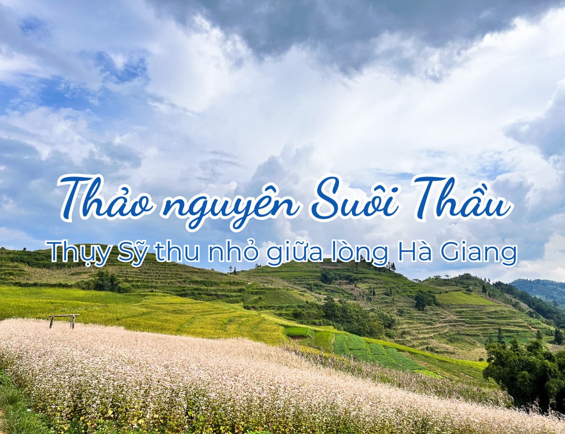 Thảo nguyên Suôi Thầu: Khám phá Thụy Sỹ thu nhỏ giữa lòng Hà Giang