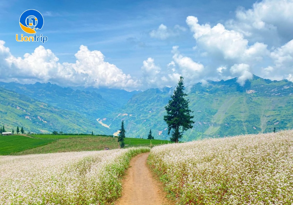 Trekking theo các con đường mòn nhỏ uốn lượn xuyên qua thảo nguyên Trekking theo các con đường mòn nhỏ uốn lượn xuyên qua thảo nguyên