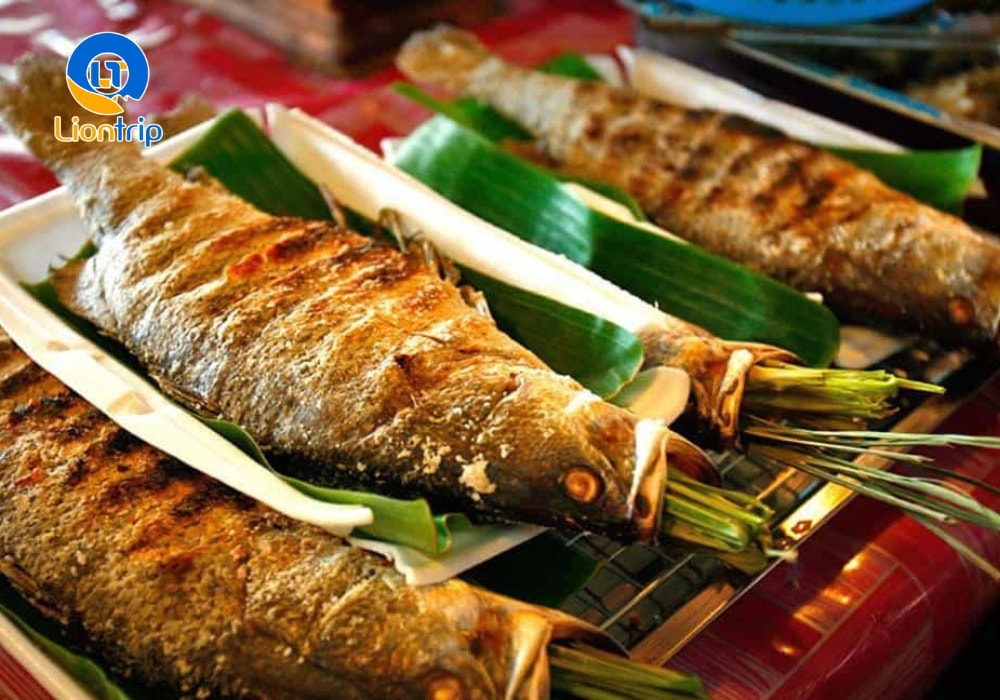 Cá sỉnh Nậm Thia Cá sỉnh Nậm Thia