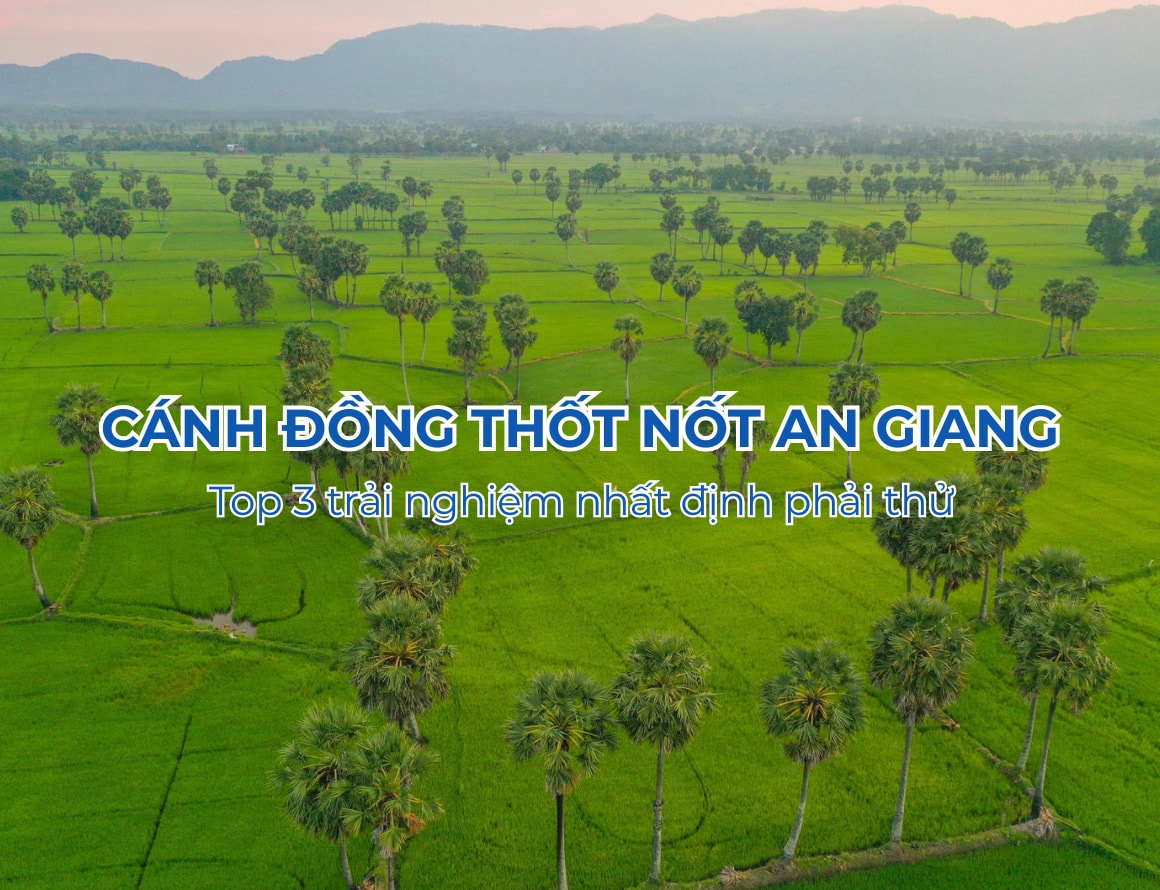 Cánh đồng thốt nốt An Giang và Top 3 trải nghiệm bạn nhất định phải thử