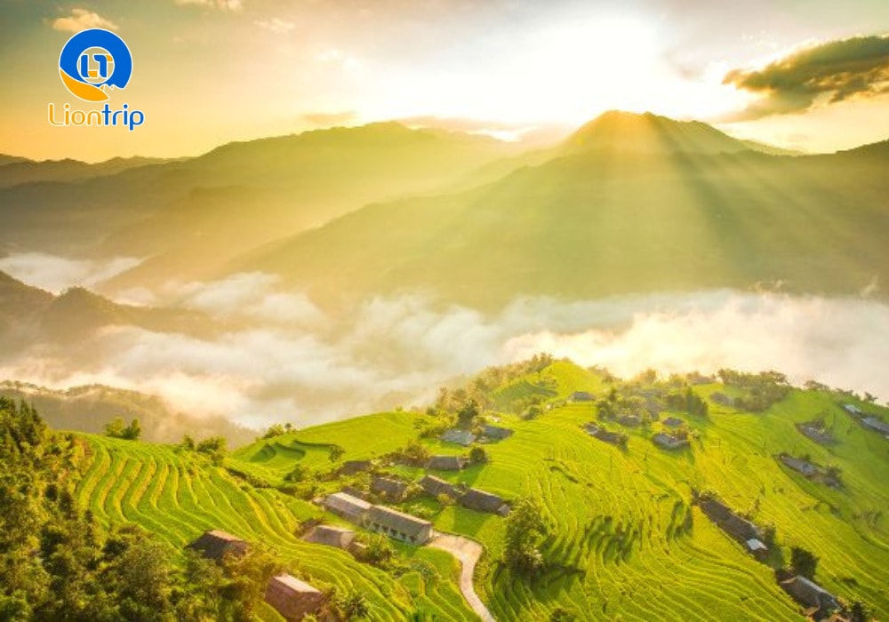 Chiêm ngưỡng những thửa ruộng bậc thang vàng óng