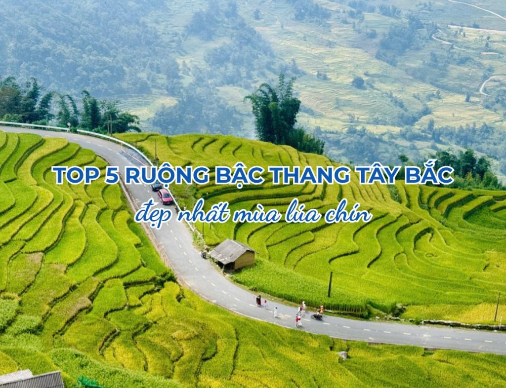 Chiêm ngưỡng Top 5 ruộng bậc thang Tây Bắc đẹp nhất mùa lúa chín