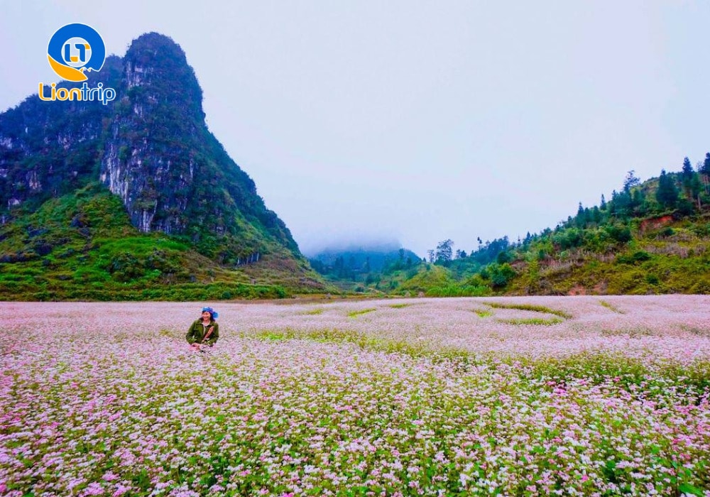 Cung đèo Mã Pì Lèng