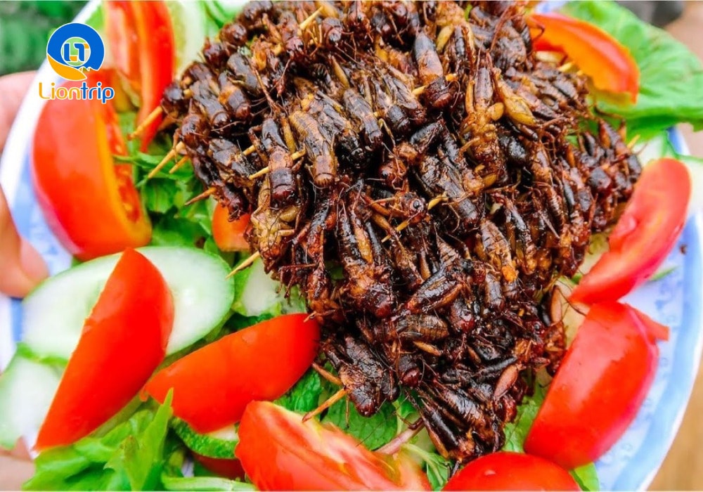 Dế chiên Kon Tum Dế chiên Kon Tum