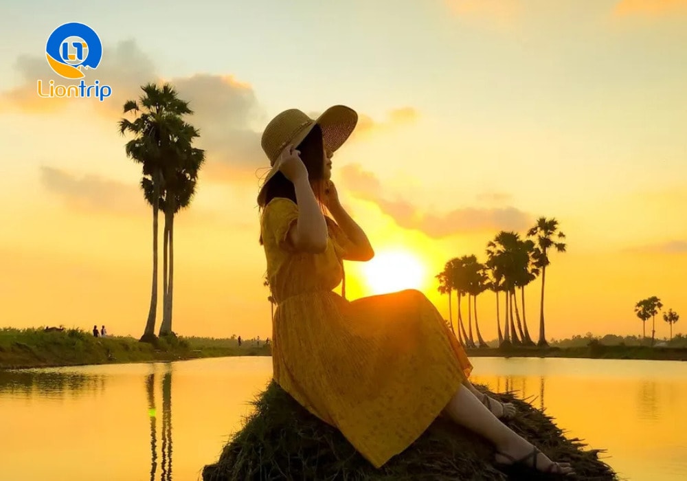 Du khách check-in sống ảo với hàng cây thốt nốt