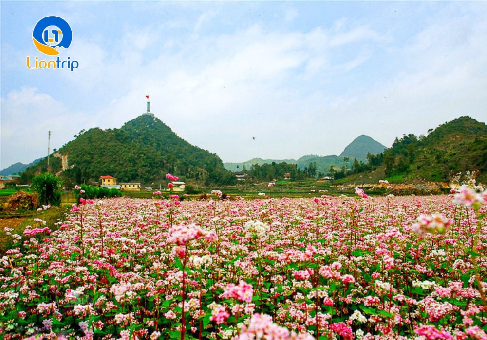 Đường lên cột cờ Lũng Cú