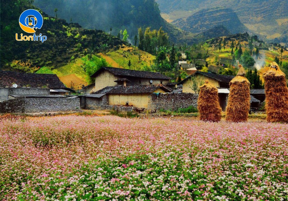 Làng Văn hóa Du lịch Lũng Cẩm