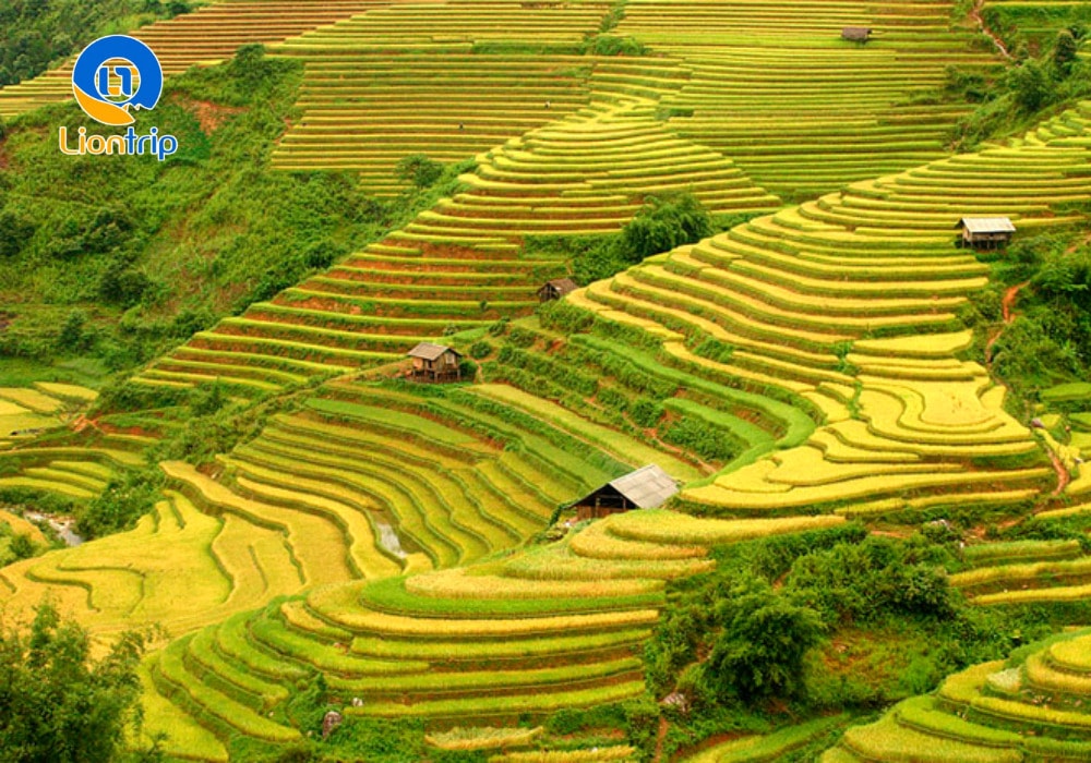 Lưu ý khi đi ngắm ruộng bậc thang Tây Bắc