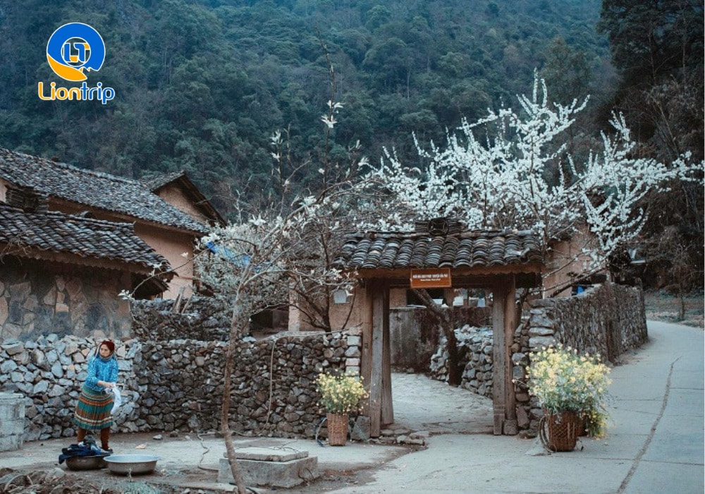 Nhà của Pao Nhà của Pao