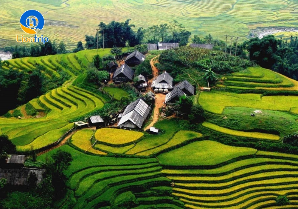Ruộng bậc thang Sapa (Lào Cai)