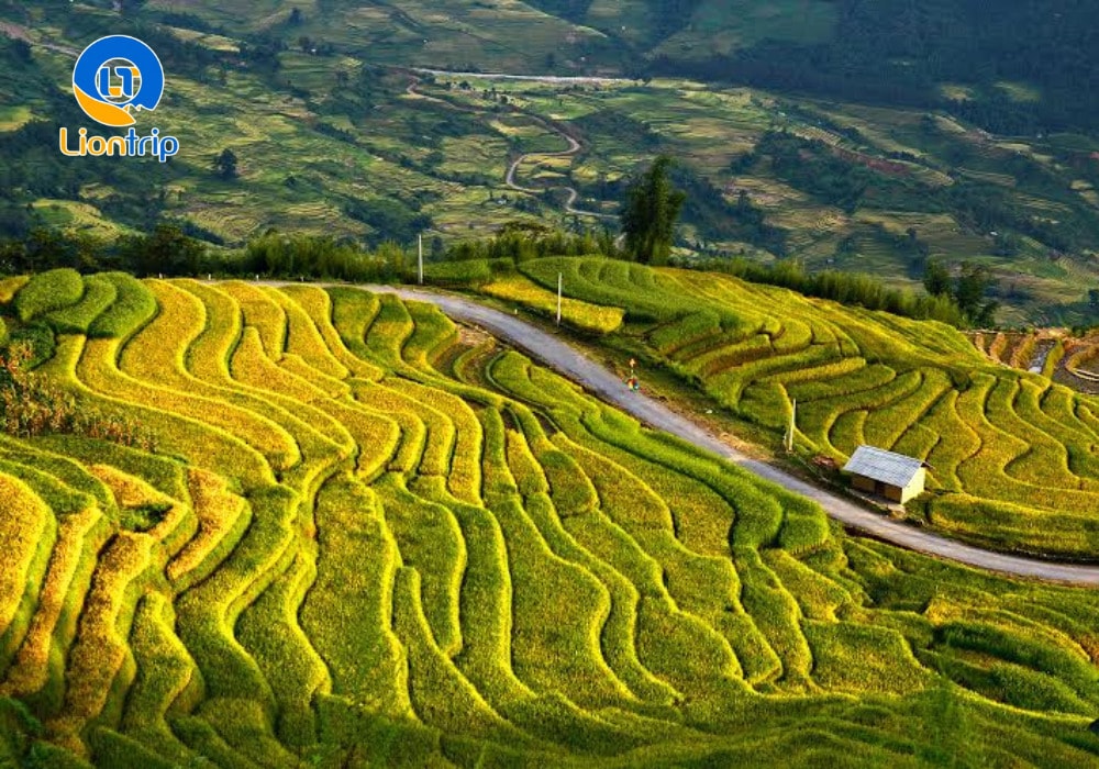 Ruộng bậc thang Y Tý (Lào Cai)