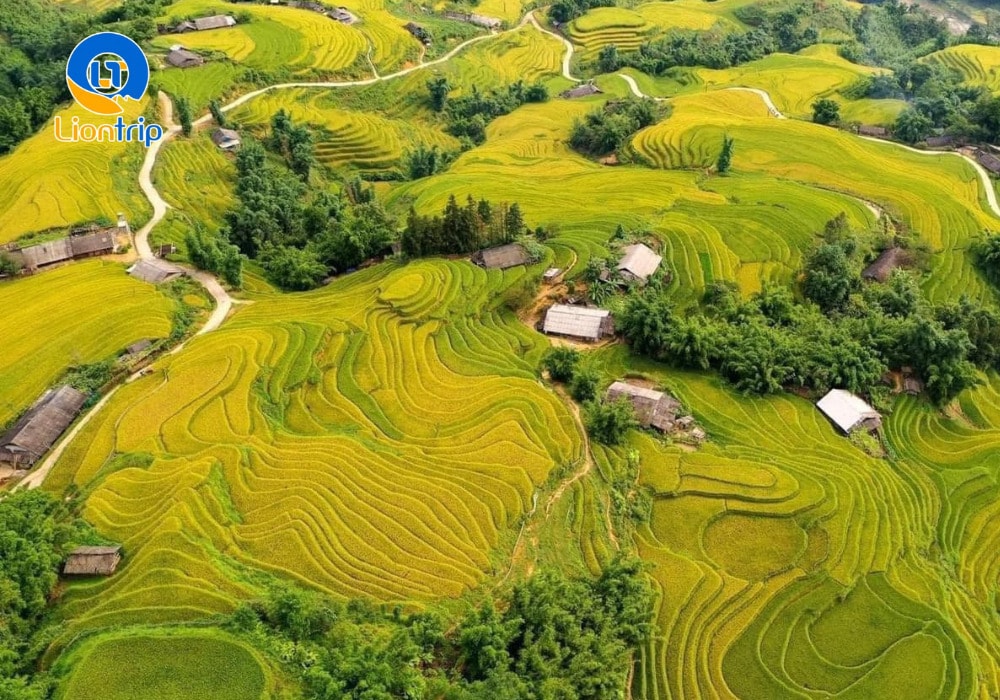 Thời điểm đẹp nhất để ngắm ruộng bậc thang Tây Bắc là vào mùa lúa chín