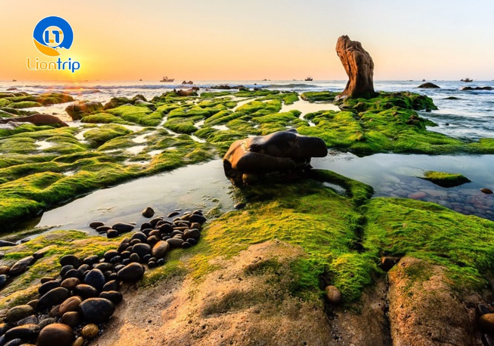 Bãi đá bảy màu Cổ Thạch thuộc xã Bình Thạnh, huyện Tuy Phong, tỉnh Bình Thuận