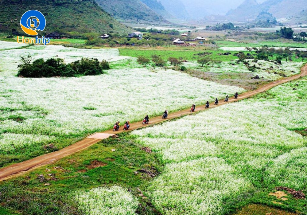Bản Pa Phách
