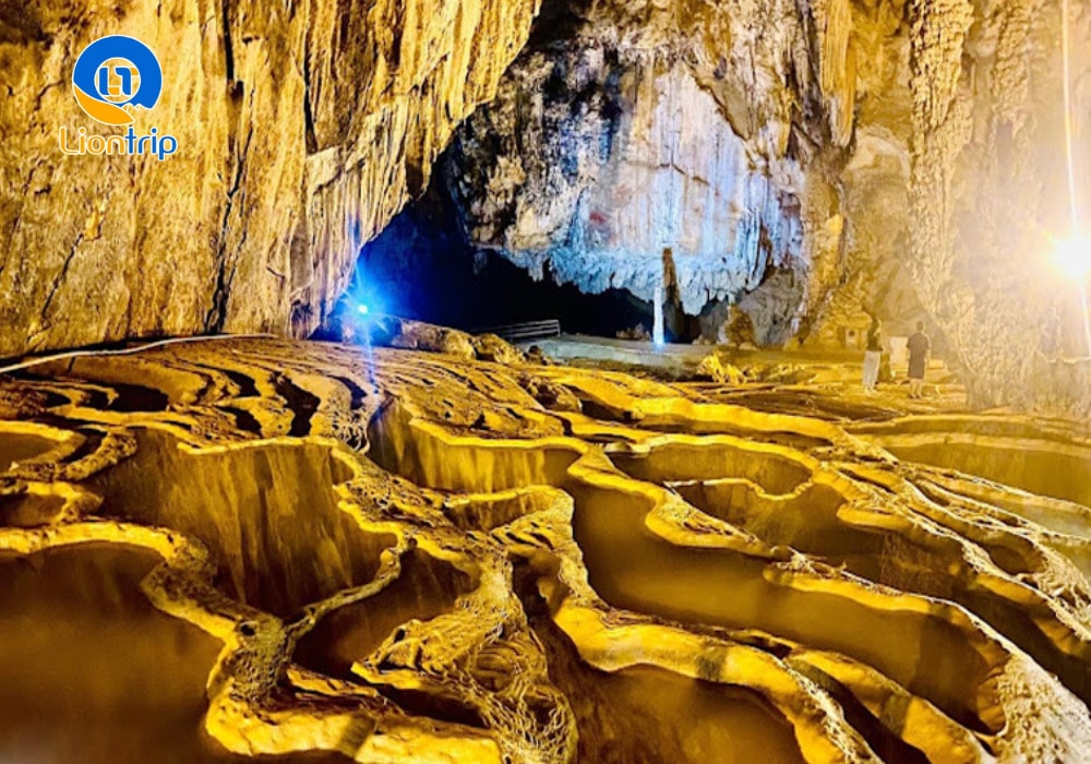 Cách di chuyển đến động Ngườm Ngao Cách di chuyển đến động Ngườm Ngao