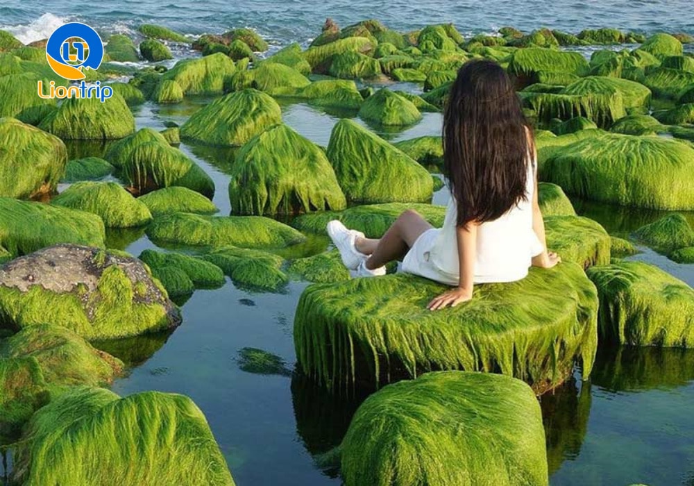 Check-in sống ảo tại bãi đá bảy màu Cổ Thạch