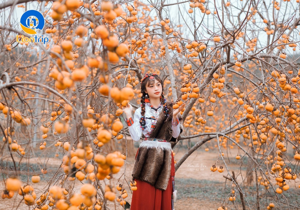 Du khách check - in giữa vườn hồng Du khách check - in giữa vườn hồng