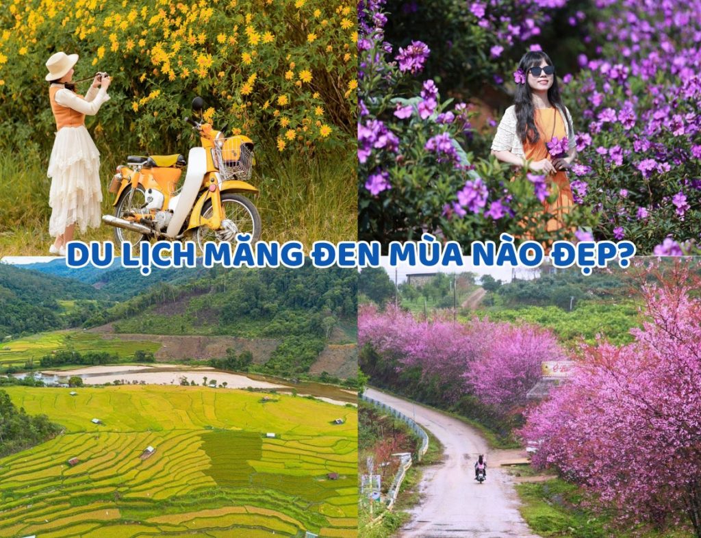 Du lịch Măng Đen mùa nào đẹp? Gợi ý thời điểm lý tưởng nhất trong năm