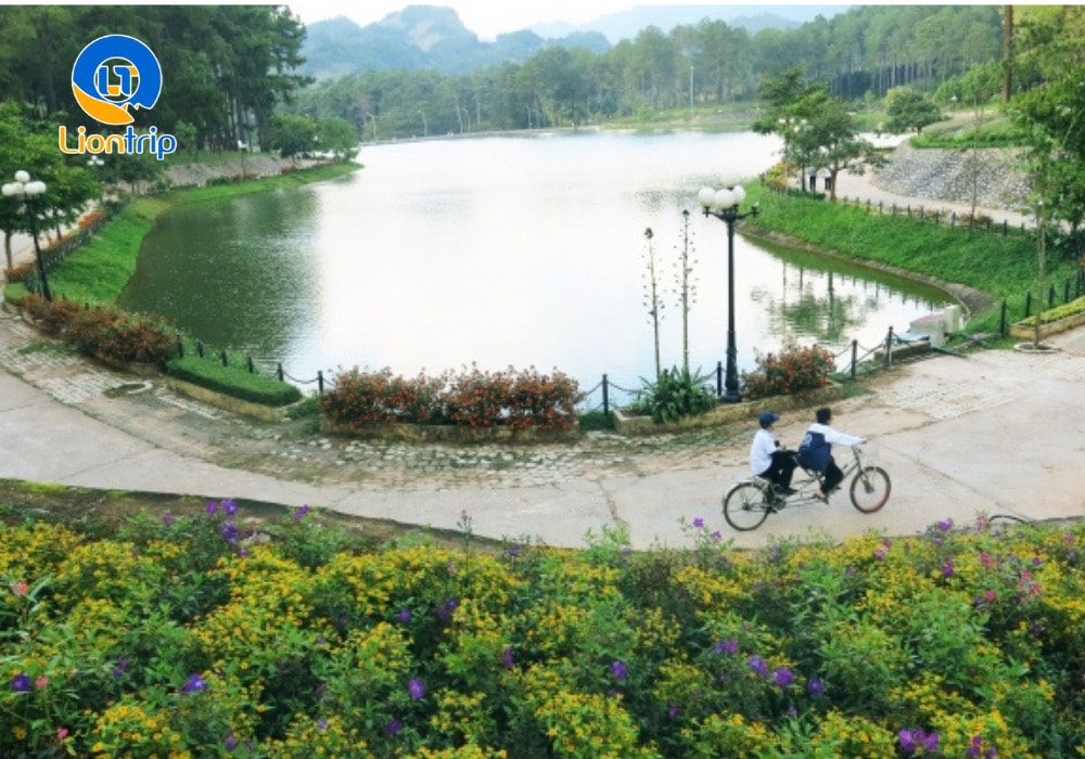 Giá vé tham quan rừng thông Bản Áng Giá vé tham quan rừng thông Bản Áng