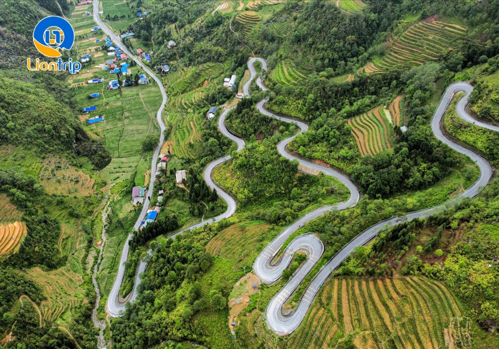 Hà Giang sở hữu mùa hoa rực rỡ bốn mùa