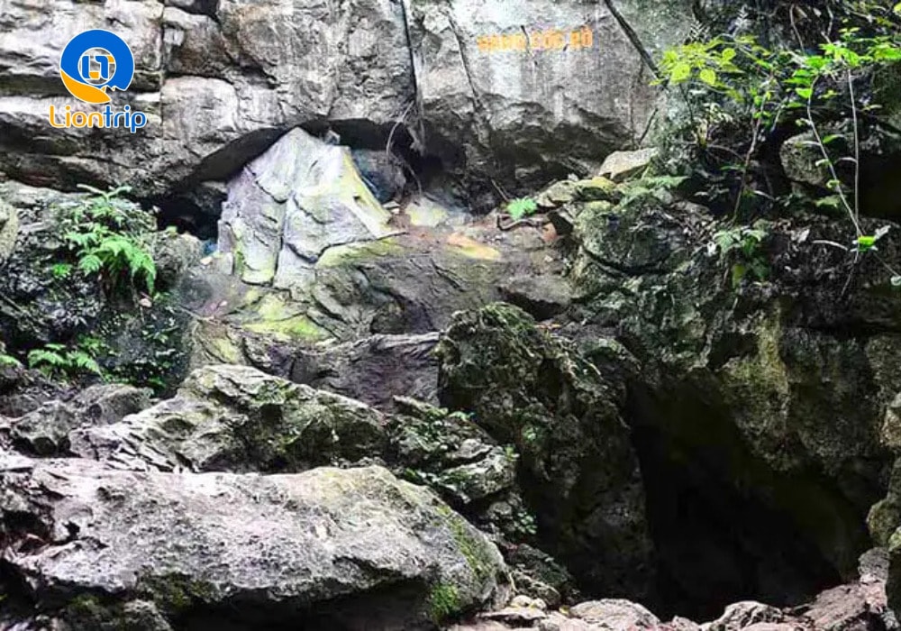 Hang Cốc Bó