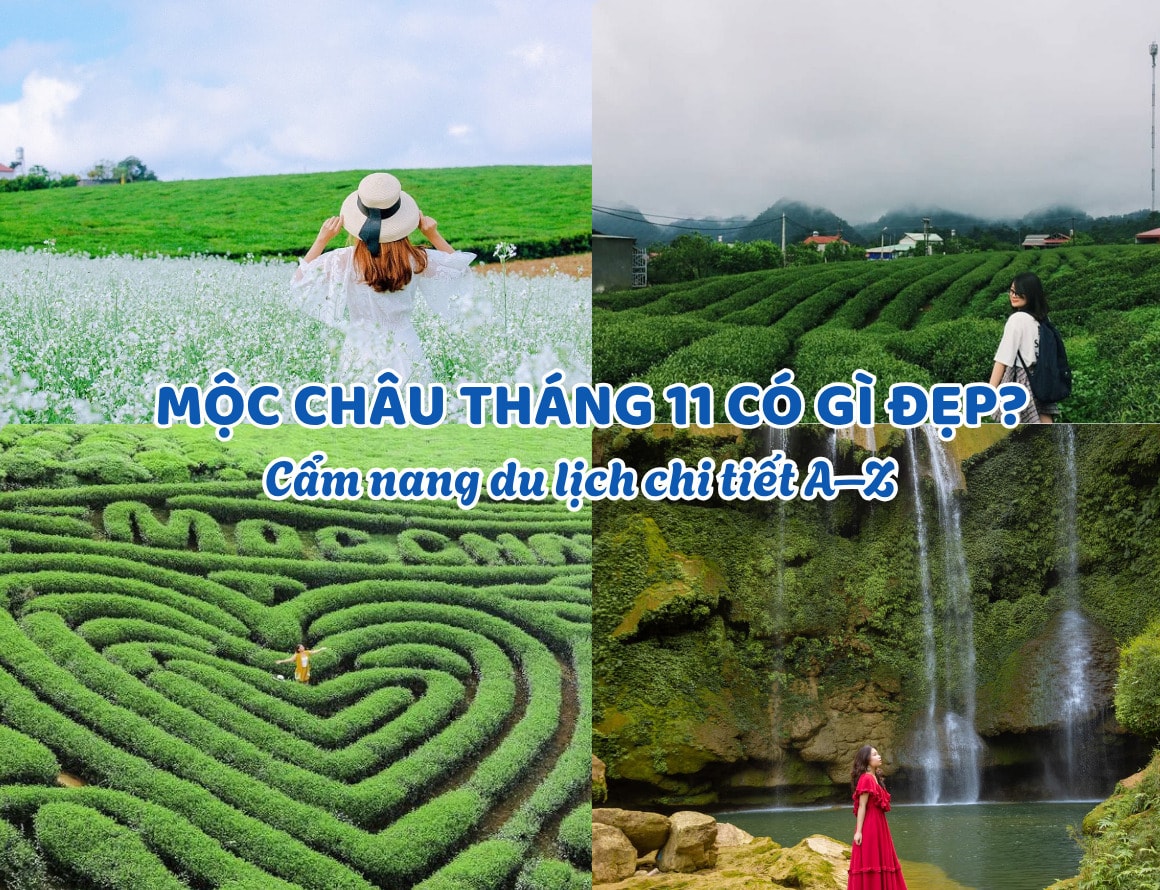 Mộc Châu tháng 11 có gì đẹp? Cẩm nang du lịch chi tiết A–Z