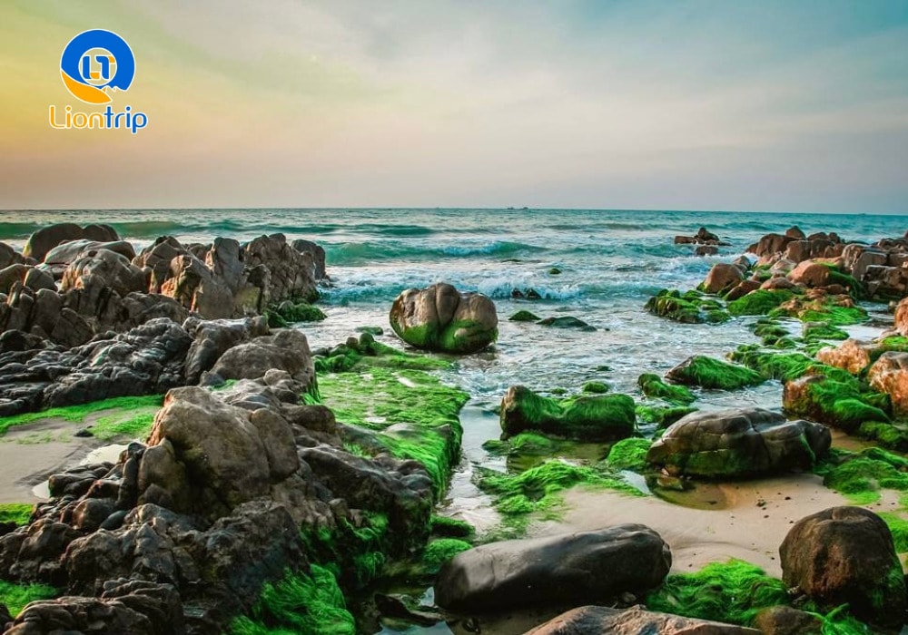 Thời điểm được nhiều du khách ghé thăm bãi đá nhất là từ tháng 3 - tháng 8