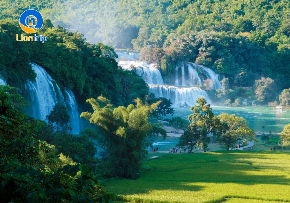 Thời điểm lý tưởng nhất là từ tháng 9 đến tháng 10 Thời điểm lý tưởng nhất là từ tháng 9 đến tháng 10